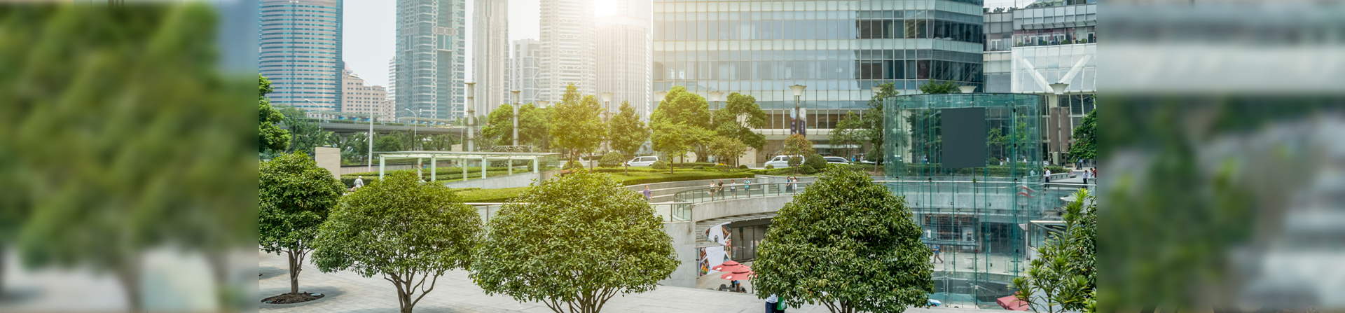 サービスの流れ